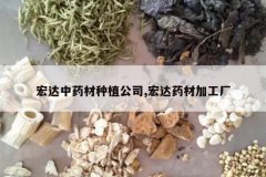 <b>�����ҩ����ֲ��˾,���ҩ�ļӹ���</b>