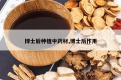 <b>��ʿ����ֲ��ҩ��,��ʿ������</b>