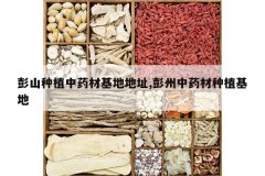 <b>��ɽ��ֲ��ҩ�Ļ��ص�ַ,������ҩ����ֲ����</b>