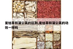 <b>�Ŀݲݺ��ѹ�Ӣ������,�Ŀݲݺ��ѹ�Ӣ�Ĺ�Чһ����</b>