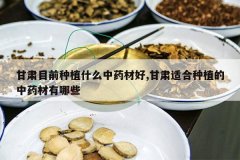 <b>����Ŀǰ��ֲʲô��ҩ�ĺ�,�����ʺ���ֲ����ҩ������Щ</b>