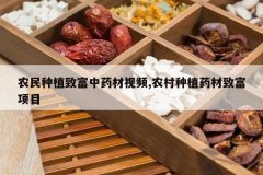 <b>ũ����ֲ�¸���ҩ����Ƶ,ũ����ֲҩ���¸���Ŀ</b>