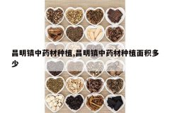 <b>��������ҩ����ֲ,��������ҩ����ֲ�������</b>