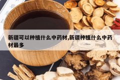 <b>�½�������ֲʲô��ҩ��,�½���ֲʲô��ҩ�����</b>