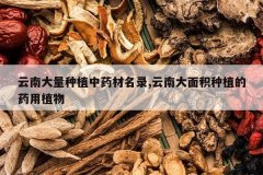 <b>���ϴ�����ֲ��ҩ����¼,���ϴ������ֲ��ҩ��ֲ��</b>