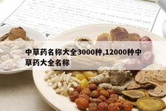 <b>�в�ҩ���ƴ�ȫ3000��,12000���в�ҩ��ȫ����</b>