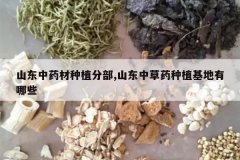 <b>ɽ����ҩ����ֲ�ֲ�,ɽ���в�ҩ��ֲ��������Щ</b>