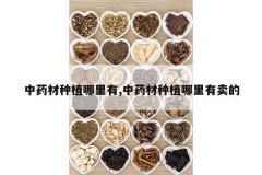 <b>��ҩ����ֲ������,��ҩ����ֲ����������</b>