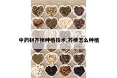 <b>��ҩ�Ľ湣��ֲ����,�湣��ô��ֲ</b>