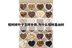 <b>������Ҷ����������,Ϊʲô����������</b>