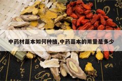 <b>��ҩ��޻�������ֲ,��ҩ޻���������Ƕ���</b>
