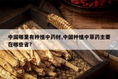 <b>�й���������ֲ��ҩ��,�й���ֲ�в�ҩ��Ҫ����Щʡ?</b>