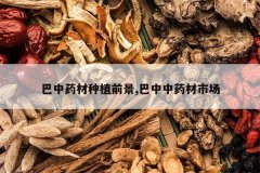 <b>����ҩ����ֲǰ��,������ҩ���г�</b>