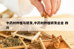 <b>��ҩ����ֲ���з�,��ҩ����ֲ�з���ҵ �Ĵ�</b>