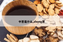 <b>�д���ʲô,zhong��</b>