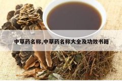 <b>�в�ҩ����,�в�ҩ���ƴ�ȫ����Ч�鼮</b>