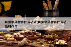 <b>������ҩ����ʲô��Ч,������ҩ����ʲô��Ч������</b>