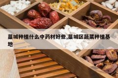 <b>޻����ֲʲô��ҩ�ĺ�Щ,޻�����߲���ֲ����</b>