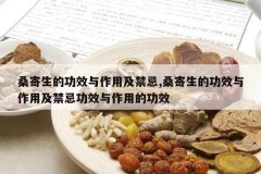 <b>ɣ�����Ĺ�Ч�����ü�����,ɣ�����Ĺ�Ч�����ü����ɹ�Ч������</b>