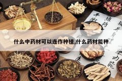 <b>ʲô��ҩ�Ŀ���������ֲ,ʲôҩ������</b>