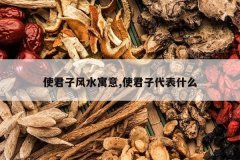 <b>ʹ���ӷ�ˮԢ��,ʹ���Ӵ���ʲô</b>