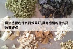 <b>���ȸ�ð��ʲôҩЧ����,�纮��ð��ʲôҩЧ���õ�</b>