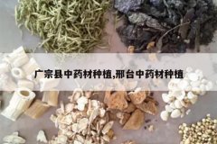 <b>��������ҩ����ֲ,��̨��ҩ����ֲ</b>