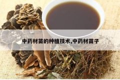 <b>��ҩ�������ֲ����,��ҩ������</b>