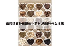 <b>����������ֲ��Щ��ҩ��,������ʲôׯ��</b>