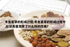 <b>�����Ĳݵ��γɹ���,�����Ĳݵ��γɹ�����,˿״���������ʲô��</b>