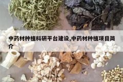 <b>��ҩ����ֲ����ƽ̨����,��ҩ����ֲ��Ŀ���</b>