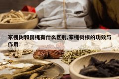 <b>�һ����͹�����ʲô����,�һ������Ĺ�Ч������</b>