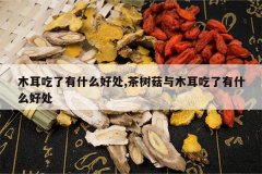 <b>ľ��������ʲô�ô�,��������ľ��������ʲô�ô�</b>