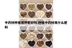 <b>��ҩ����ֲ�üطʺ���,��ֲ��ҩ����ʲô����</b>