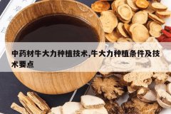 <b>��ҩ��ţ������ֲ����,ţ������ֲ����������Ҫ��</b>