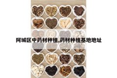 <b>��������ҩ����ֲ,ҩ����ֲ���ص�ַ</b>