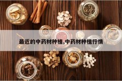 <b>�������ҩ����ֲ,��ҩ����ֲ����</b>