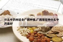 <b>ʲô��ҩ���ʺϹ�����ֲ,����������ʲô��ҩ���</b>