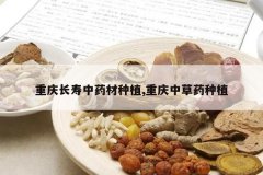 <b>���쳤����ҩ����ֲ,�����в�ҩ��ֲ</b>