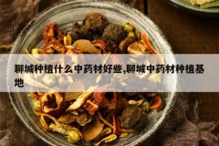 <b>�ĳ���ֲʲô��ҩ�ĺ�Щ,�ĳ���ҩ����ֲ����</b>