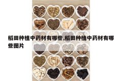 <b>������ֲ��ҩ������Щ,������ֲ��ҩ������ЩͼƬ</b>