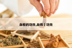 <b>Ѫ鼵Ĺ�Ч,Ѫ���g��Ч</b>