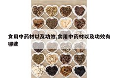 <b>ʳ����ҩ���Լ���Ч,ʳ����ҩ���Լ���Ч����Щ</b>