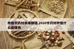 <b>��ֲ��ҩ�ĺ���׬Ǯ,2020��ҩ����ֲʲô��׬Ǯ</b>