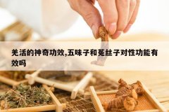 <b>Ǽ������湦Ч,��ζ�Ӻ���˿�Ӷ��Թ�����Ч��</b>