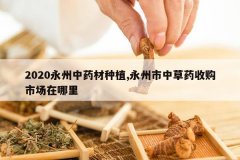 <b>2020������ҩ����ֲ,�������в�ҩ�չ��г�������</b>