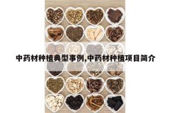 <b>��ҩ����ֲ��������,��ҩ����ֲ��Ŀ���</b>