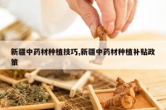 <b>�½���ҩ����ֲ����,�½���ҩ����ֲ��������</b>