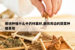 <b>�ȷ���ֲʲô��ҩ�����,�ȷ��ܱߵ��߲���ֲ����</b>