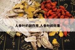 <b>�˲�Ҷ�ĸ�����,�˲�Ҷ��Ч��</b>